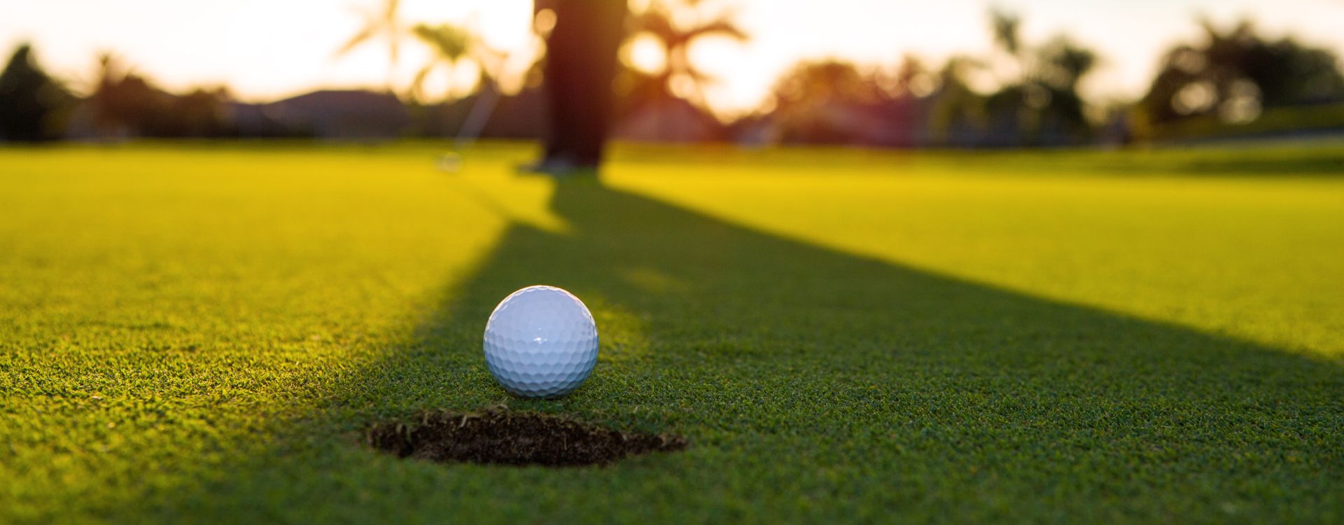 Align Your Putt Like a Pro: Essential Drills for Every Golfer