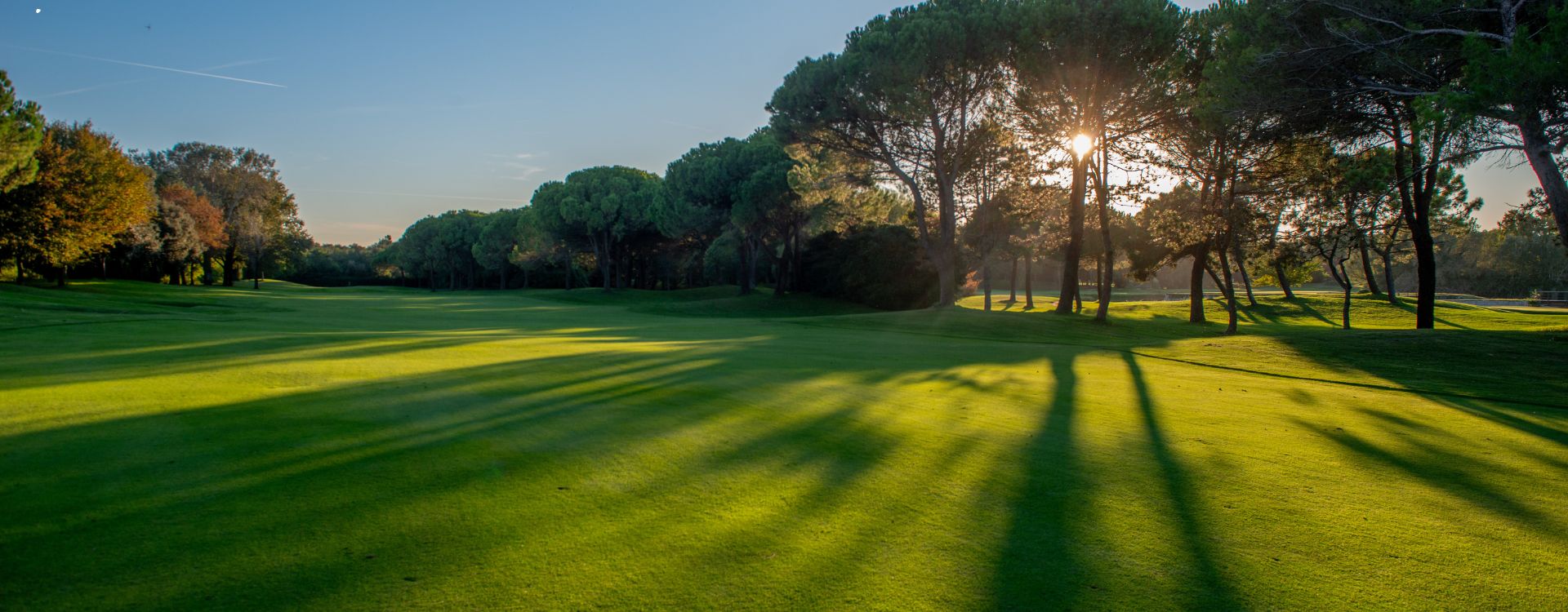 Flat Golf Balls: What They Are and How They Fix Your Putting Stroke